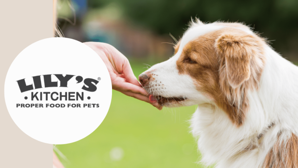 Testez gratuitement les galettes au bœuf pour chiens de Lily’s Kitchen