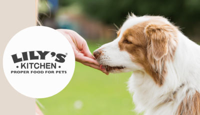 Testez gratuitement les galettes au bœuf pour chiens de Lily’s Kitchen
