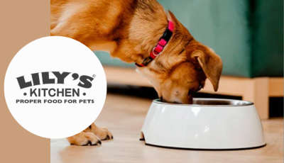 Testez gratuitement le pâté lamb hotpot pour chiens de Lily’s Kitchen