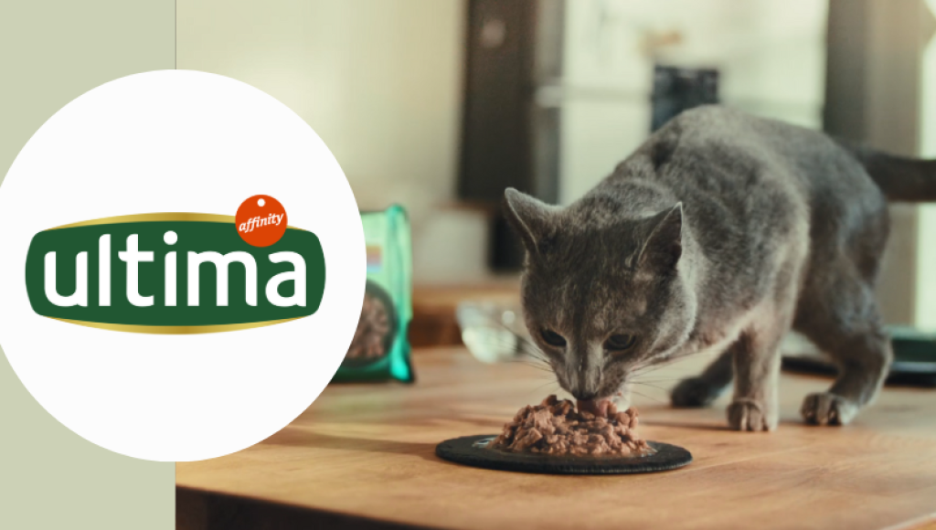Testez gratuitement les nourritures pour chats de Ultima Fit & Delicious