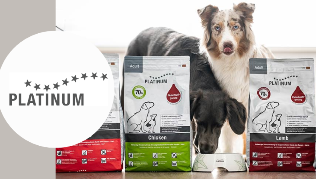 Testez gratuitement les aliments secs premium pour Chiens de PLATINUM