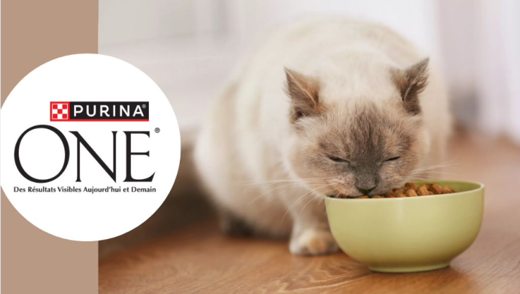 Testez gratuitement les lots de terrines pour chats stérilisés de PURINA ONE