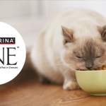 Testez gratuitement les lots de terrines pour chats stérilisés de PURINA ONE