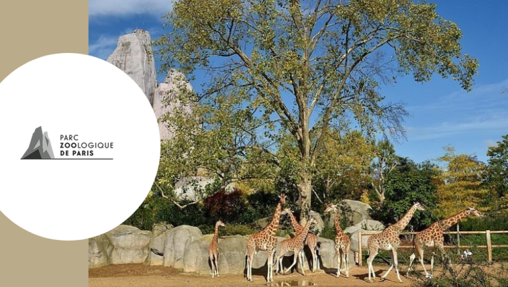 Comment gagner une invitations au Parc Zoologique de Paris ?