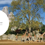 Comment gagner une invitations au Parc Zoologique de Paris ?