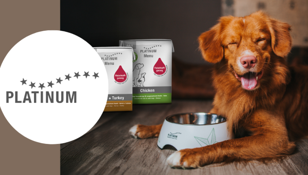 Testez gratuitement la nourriture pour chien de PLATINUM