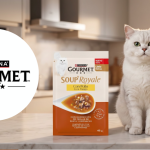 Testez gratuitement la Soup’ Royale au poulet de Gourmet