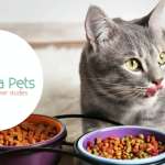 Testez gratuitement le complément alimentaire pour chats de Panel Vista Pets