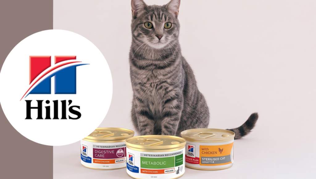 Testez gratuitement les mousses onctueuses de Hill\'s