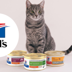 Testez gratuitement les mousses onctueuses de Hill\'s