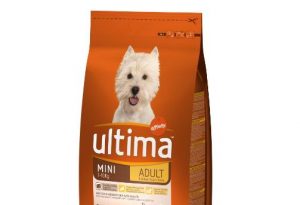 Testez gratuitement les croquettes pour chien Ultima