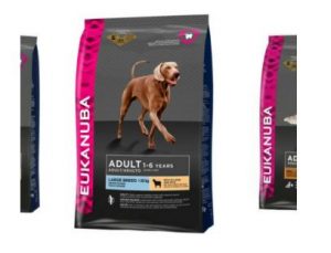 Testez gratuitement les croquettes Agneau et Riz pour chien adulte