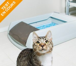 Testez gratuitement la litière ScoopFree® de PetSafe