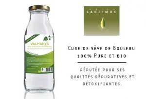 Testez gratuitement la cure de sève de Bouleau bio