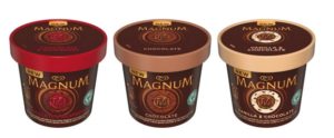 Profitez d\'une réduction de 1.20€ pour l\'achat d\'un produit Magnum de la gamme Pot