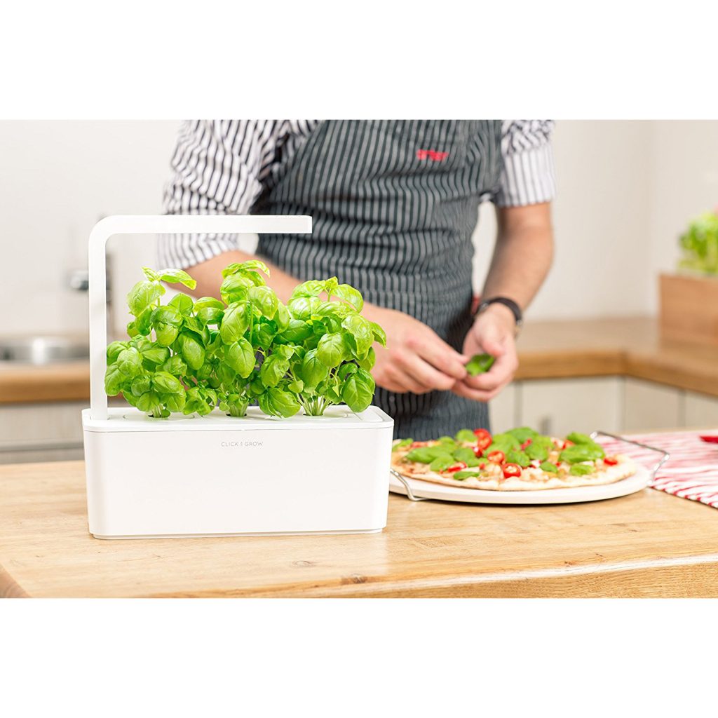 Recevez gratuitement une jardinière d\'intérieur