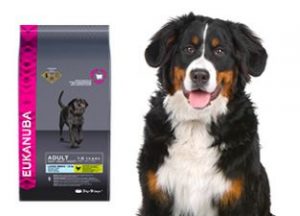 Testez gratuitement un sac de croquette au poulet pour chien Eukanuba