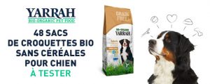 Testez gratuitement les croquettes Bio pour chiens Yarrah