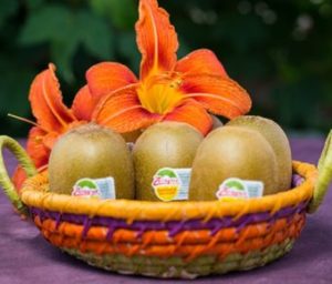 Testez gratuitement les kiwis Zespri SunGold