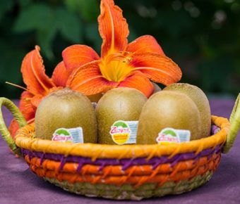 Testez gratuitement les kiwis Zespri SunGold