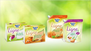 Testez gratuitement le sucre Beghin Say Stevia Ligne