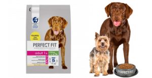 Testez gratuitement les croquettes pour chien adulte au poulet PERFECT FIT