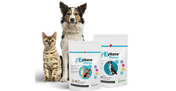 Testez gratuitement les bouchées Zylkene Chews pour chiens stressés