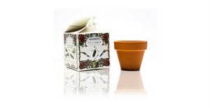 Recevez gratuitement un kit de cultivation Hendrick’s