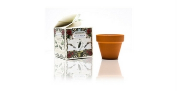 Recevez gratuitement un kit de cultivation Hendrick’s