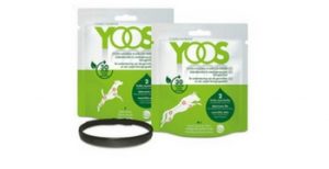 Testez gratuitement le collier YOOS pour chien