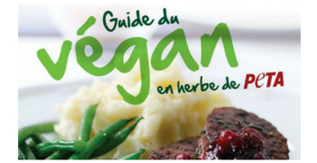 Recevez gratuitement le guide du Végan en Herbe