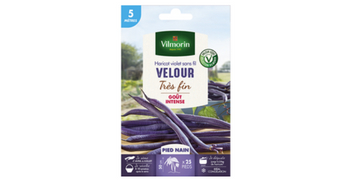 Testez gratuitement le haricot violet sans fil Velour