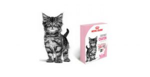 Testez gratuitement le coffret chaton de Royal Canin