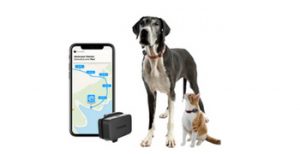 Testez gratuitement le GPS Pet Tracker Invoxia