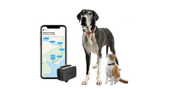 Testez gratuitement le GPS Pet Tracker Invoxia