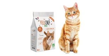 Testez gratuitement les croquettes FeliChef Bio pour chats