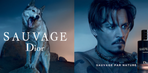 Recevez gratuitement un échantillon du parfum Sauvage de Dior