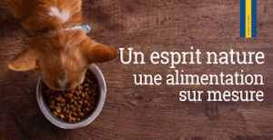Recevez gratuitement un échantillon de croquettes pour Chiens ou chats