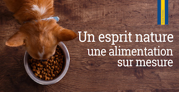 Recevez gratuitement un échantillon de croquettes pour Chiens ou chats