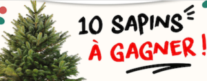 10 sapins de Noël à recevoir gratuitement.