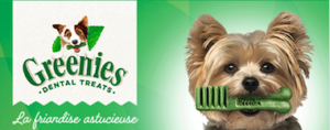Greenies Teenie vous propose des échantillons pour chien de 2 à 7 kg