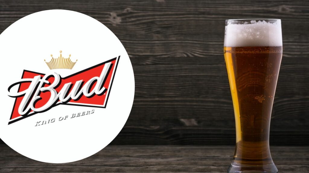 Recevez gratuitement un pack de 6 bières Bud