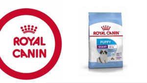 50 lots de croquettes Royal Canin à gagner