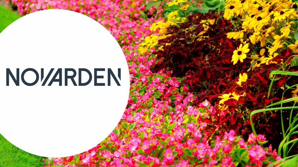 Gagnez un pack composé d\'un robot-tondeuse, d\'un coupe-bordure avec batterie et chargeur et d\'une perceuse-visseuse