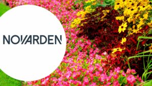 Gagnez un pack composé d\'un robot-tondeuse, d\'un coupe-bordure avec batterie et chargeur et d\'une perceuse-visseuse