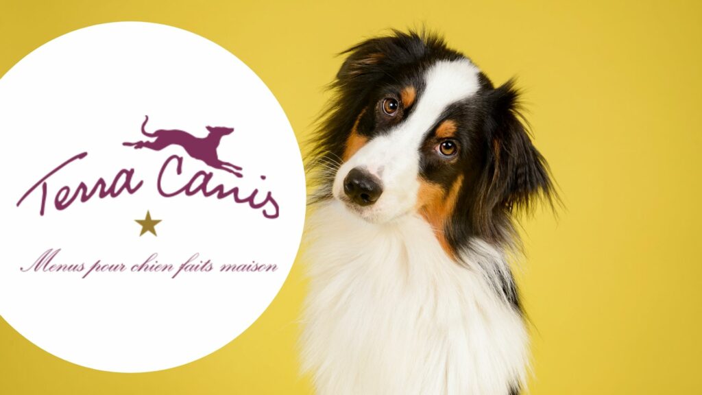 Testez gratuitement les aliments Terra Canis pour chien