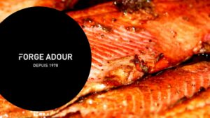 Gagnez une plancha électrique Forge Adour